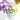First Birthday - Party Plush