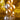 Golden - Party Plush
