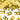 30 - Years Birthday Anniversary Confetti Metallic Gold – Partydeco – Confetti – Party Plush