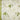 A Touch of Pampas Artificial Rose Wall Backdrop Decoration White – Ginger Ray – Backdrops – Party Plush