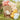Balloon Arch Matte Pastel – Ginger Ray – Balloon Arches – Party Plush
