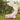 Balloon Arch Nude Pink – Ginger Ray – Balloon Arches – Party Plush