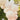 Balloon Arch Nude Pink – Ginger Ray – Balloon Arches – Party Plush
