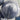 Double Layer Confetti Balloons Navy Blue – Ginger Ray – Balloons – Party Plush