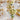 Gold Stripes Organza Fabric – Partydeco – Fabrics – Party Plush