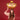 Golden Crown Balloon – Partydeco – Balloons – Party Plush