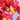 Large Heart Balloon Satin Gold – Partydeco – Balloons – Party Plush