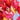 Large Heart Balloon Satin Pink – Partydeco – Balloons – Party Plush