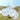 Team Bride Confetti Balloons with Flowers – Ginger Ray – Balloons – Party Plush
