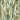 Arrow Leaf Wall Backdrop Decoration – Ginger Ray – Floral Decorations – Party Plush