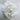 Artificial Hydrangea Decoration – Ginger Ray – Floral Decorations – Party Plush