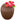 Coconut Cup – Henbrandt – Decorations – Party Plush
