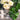Ivy Decoration – Santex – Floral Decorations – Party Plush