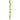 Ivy Decoration – Santex – Floral Decorations – Party Plush