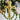 Linked Balloons Green – Partydeco – Balloons – Party Plush