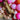 Linked Balloons Pink – Partydeco – Balloons – Party Plush