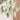 Palm Leaves Hanging Decoration – Ginger Ray – Hanging Decorations – Party Plush