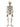Skeleton Hanging Decoration – Unique – Hanging Decorations – Party Plush